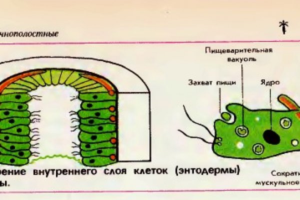 Кракен сайт зеркало рабочее