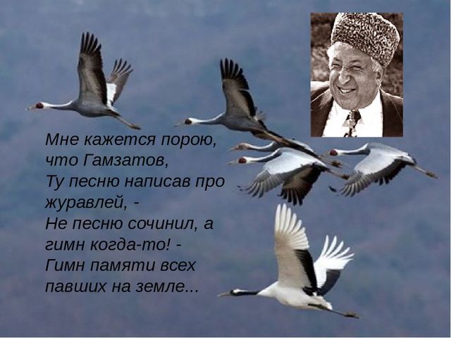 Впн для кракена